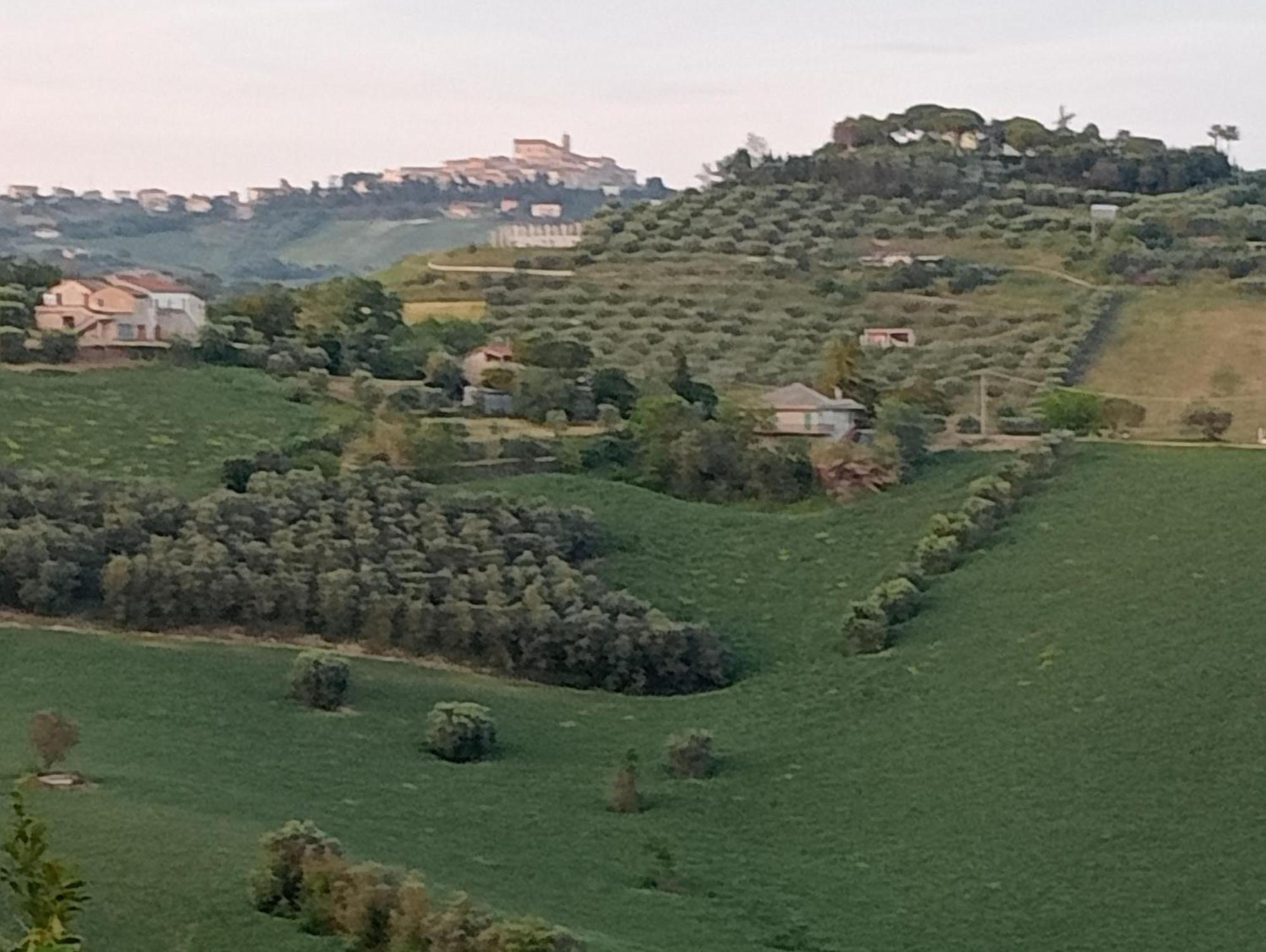 Fiordiloto Διαμέρισμα Monsampolo Del Tronto Εξωτερικό φωτογραφία